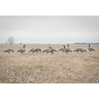 Greenhead Gear Pro Flex Goose Decoys 12 Pack